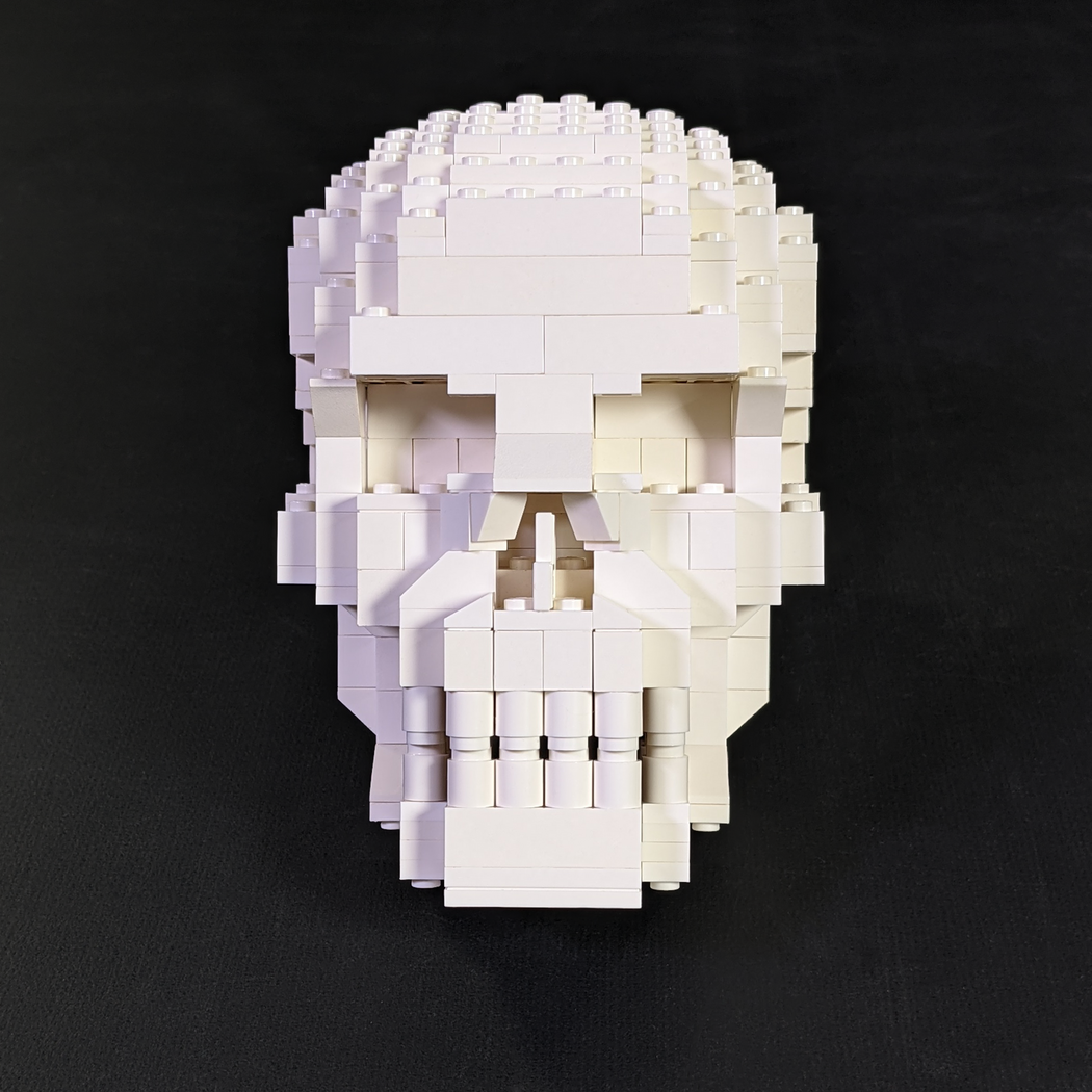 Build Life Size Lego Head Skull — BrickVault - Main Image