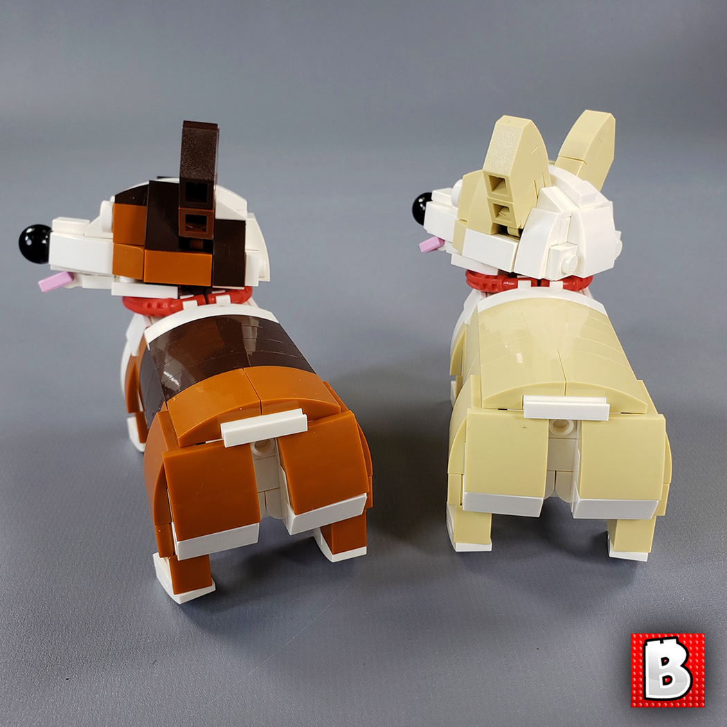 Corgies! - Main Image