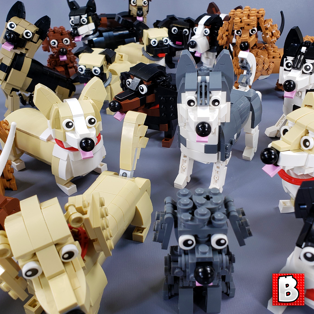 Dog Bundle — BrickVault
