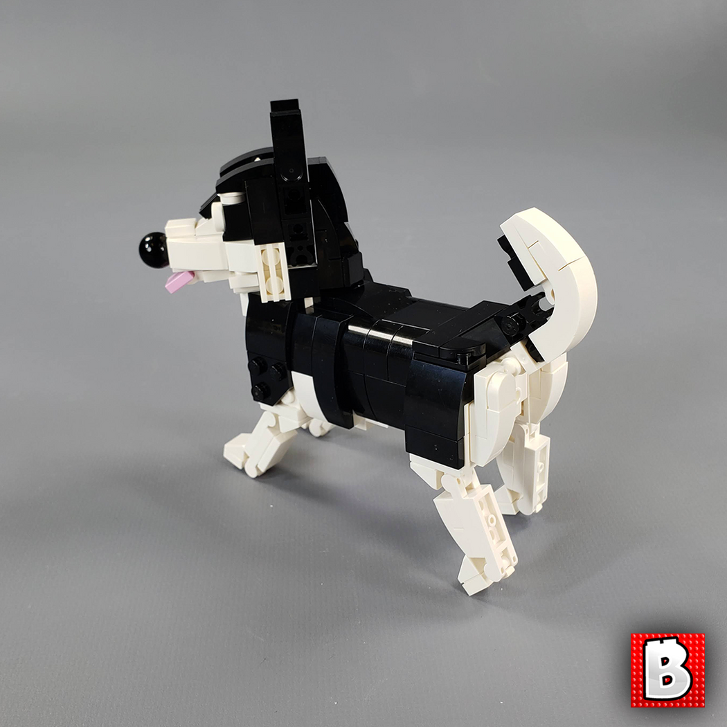 Pack chien— Brick Vault